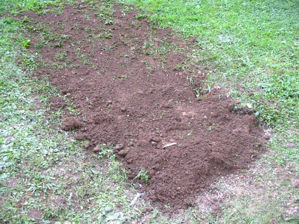 Neutralisation au béton